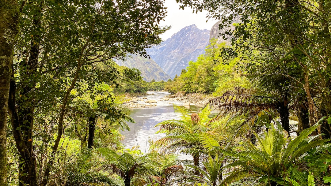 Милфорд Трек: Тропа фьордов Новой Зеландии - Milford Track | Secret World Trip Planner