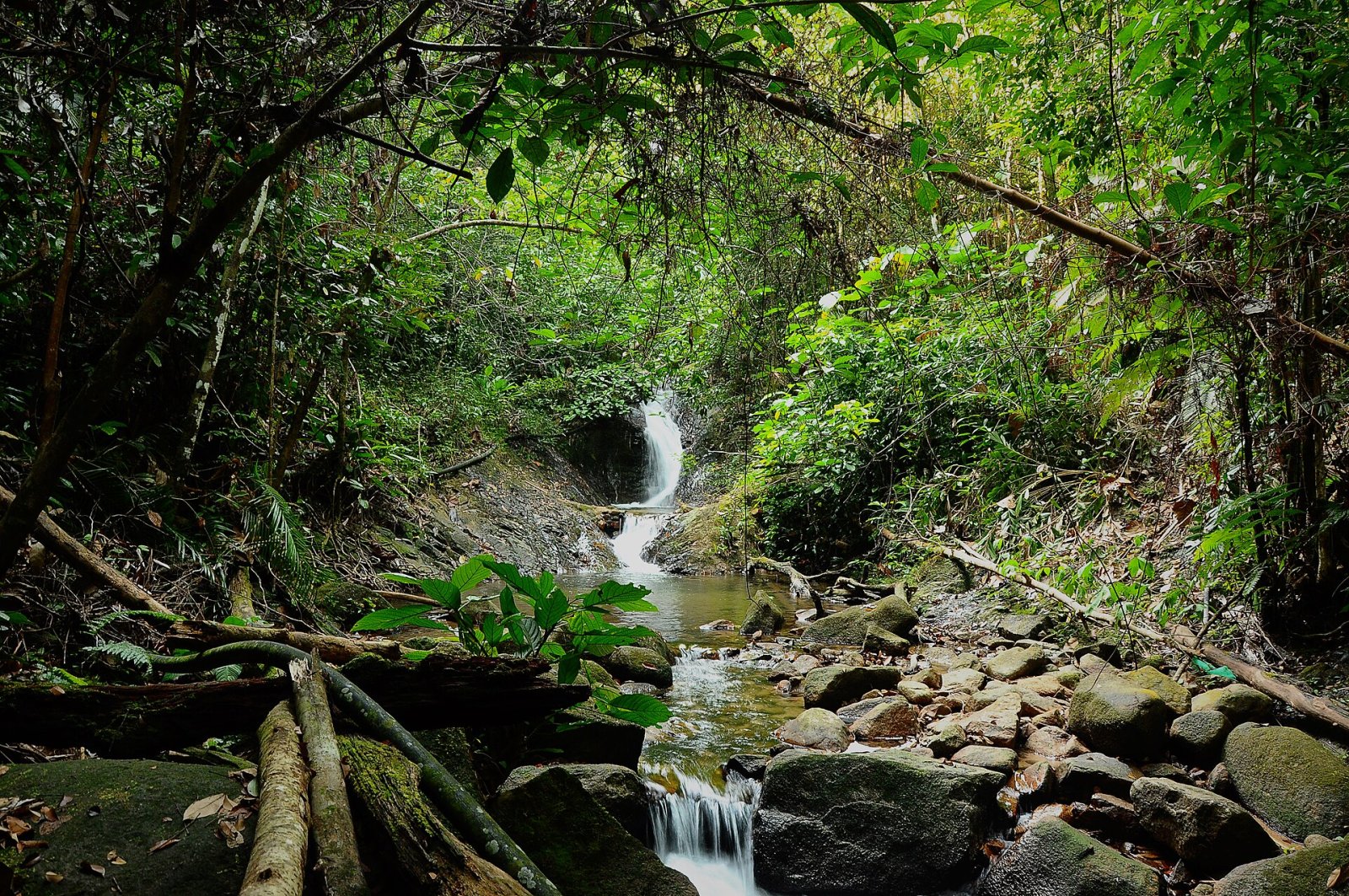 Découvrez Gunung Belumut : un trésor naturel de Malaisie — Kulai