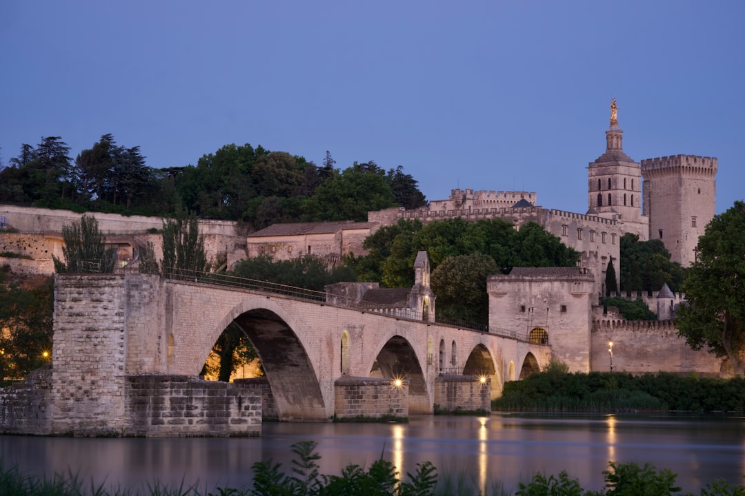 Pont Vieux: Die verborgene Brücke von Albi - Pont Vieux | Secret World Trip Planner