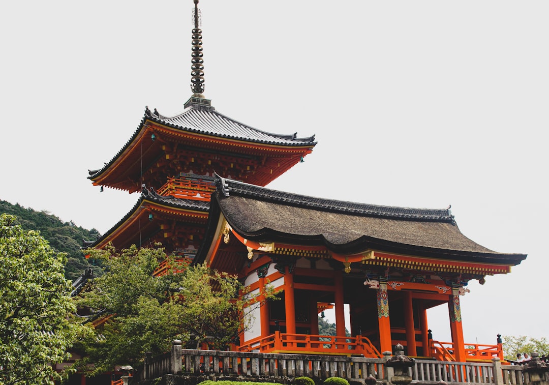 高桐院：京都隐藏的宝藏 - Kyoto | Secret World Trip Planner