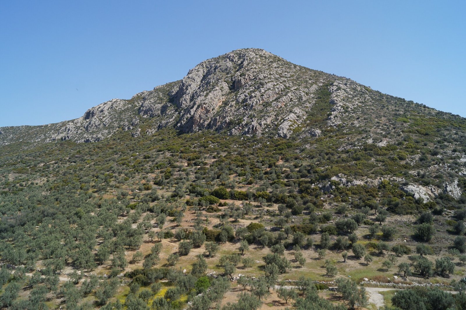 Arachnaio: Un angolo di natura in Grecia da scoprire - JXRC+H6 Midea | Secret World Trip Planner