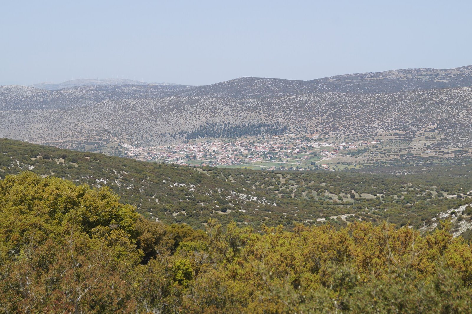 Arachnaio: Un rincón de naturaleza en Grecia por descubrir - JXRC+H6 Midea | Secret World Trip Planner