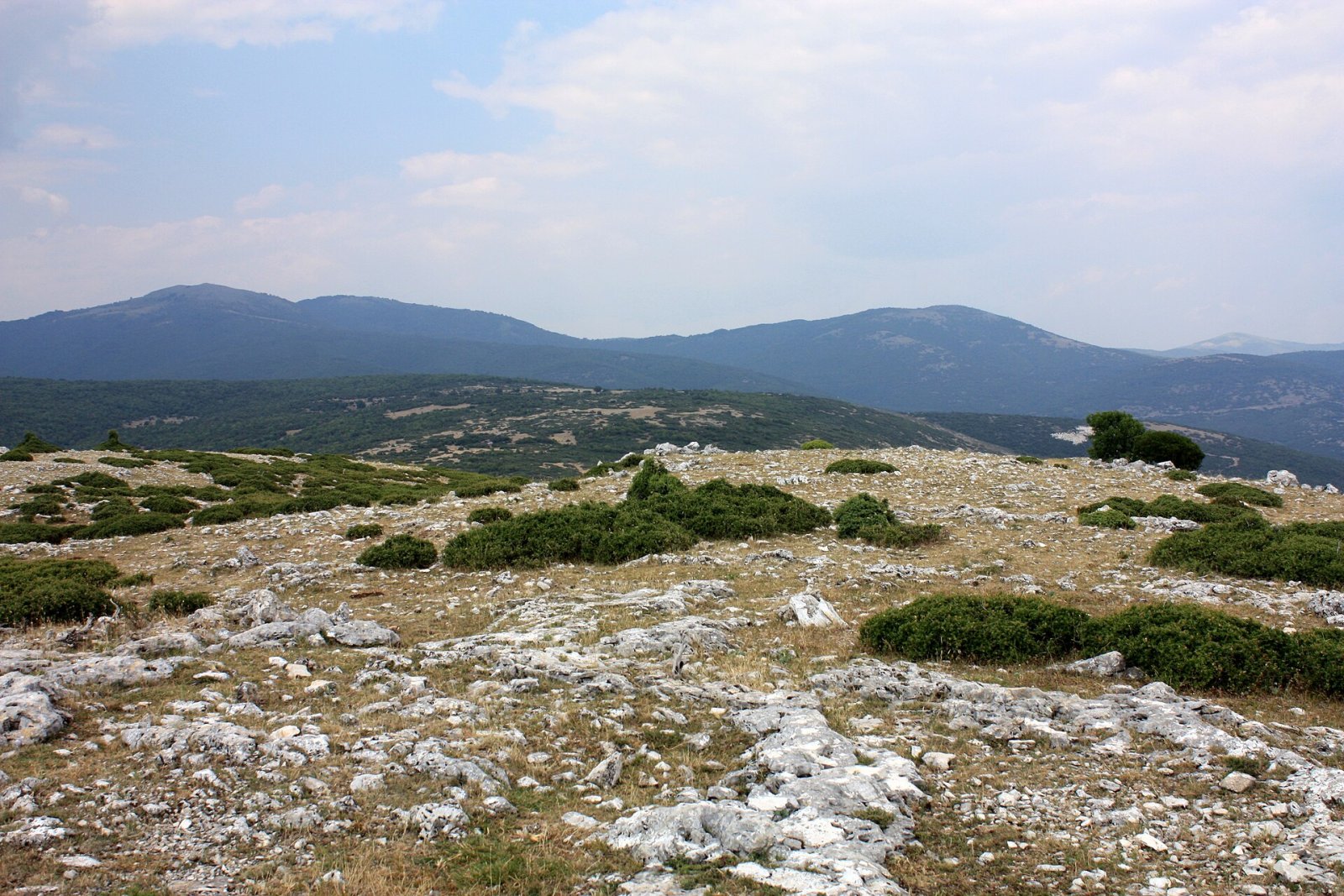 Discover Τσαλ Νταγ: a natural gem of Greece — 4FQR+V6 Nikiforos