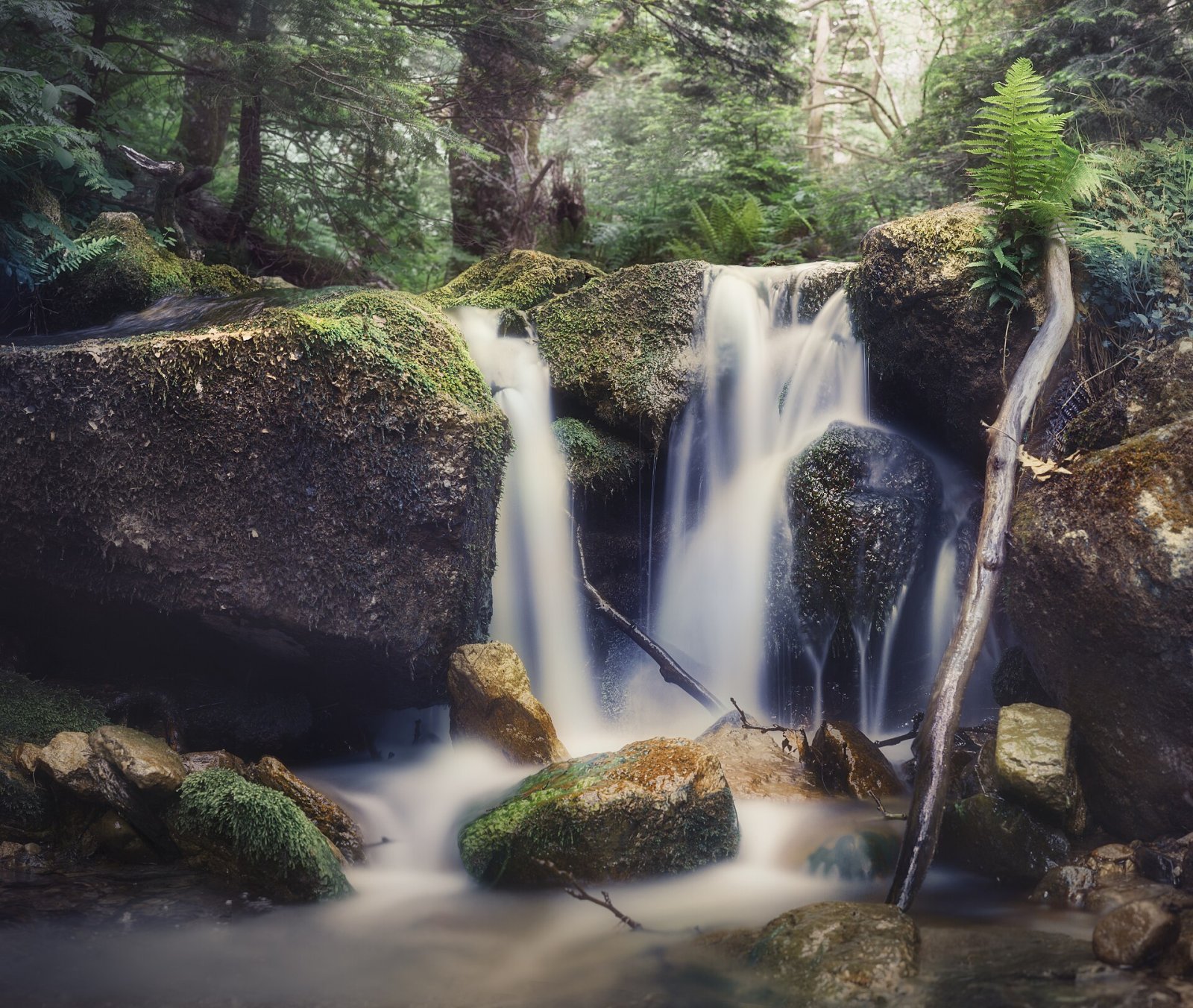 Discover Dirfi: The Enchanting Mountain of Euboea — JRGR+JC Dirfis