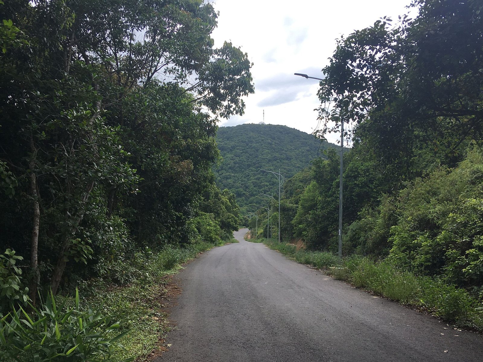 Entdecken Sie den Son Tra Berg: Ein Naturparadies in Vietnam - Son Tra | Secret World Trip Planner