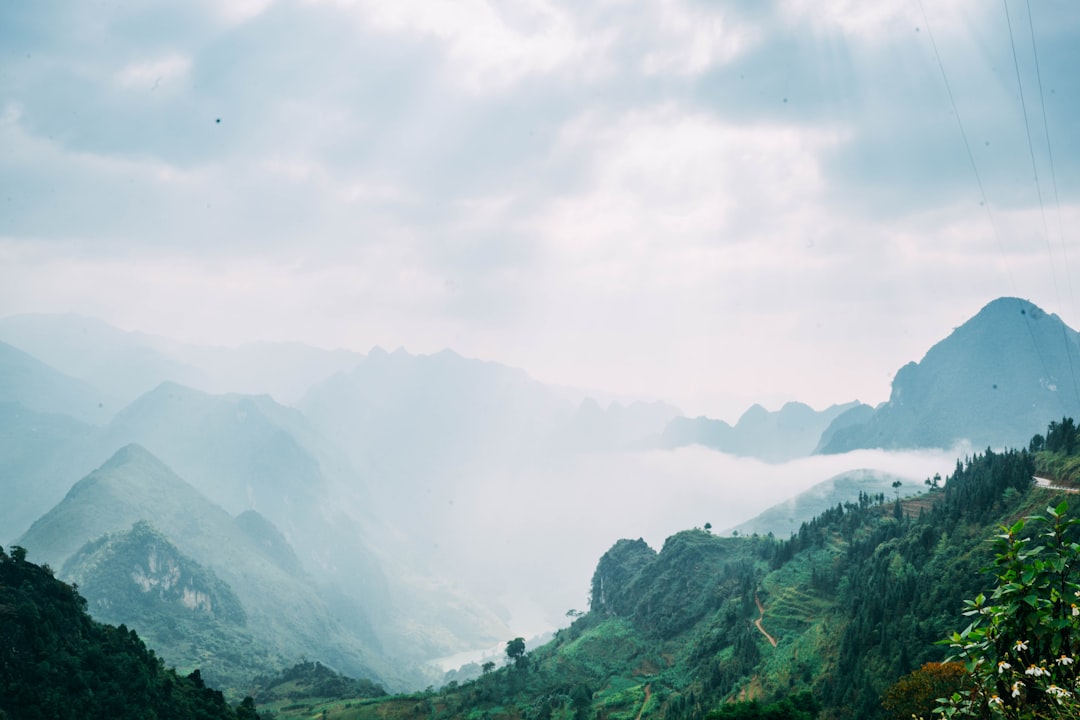 Découvrez la Montagne de Son Tra : Un Paradis Naturel au Vietnam - Son Tra | Secret World Trip Planner