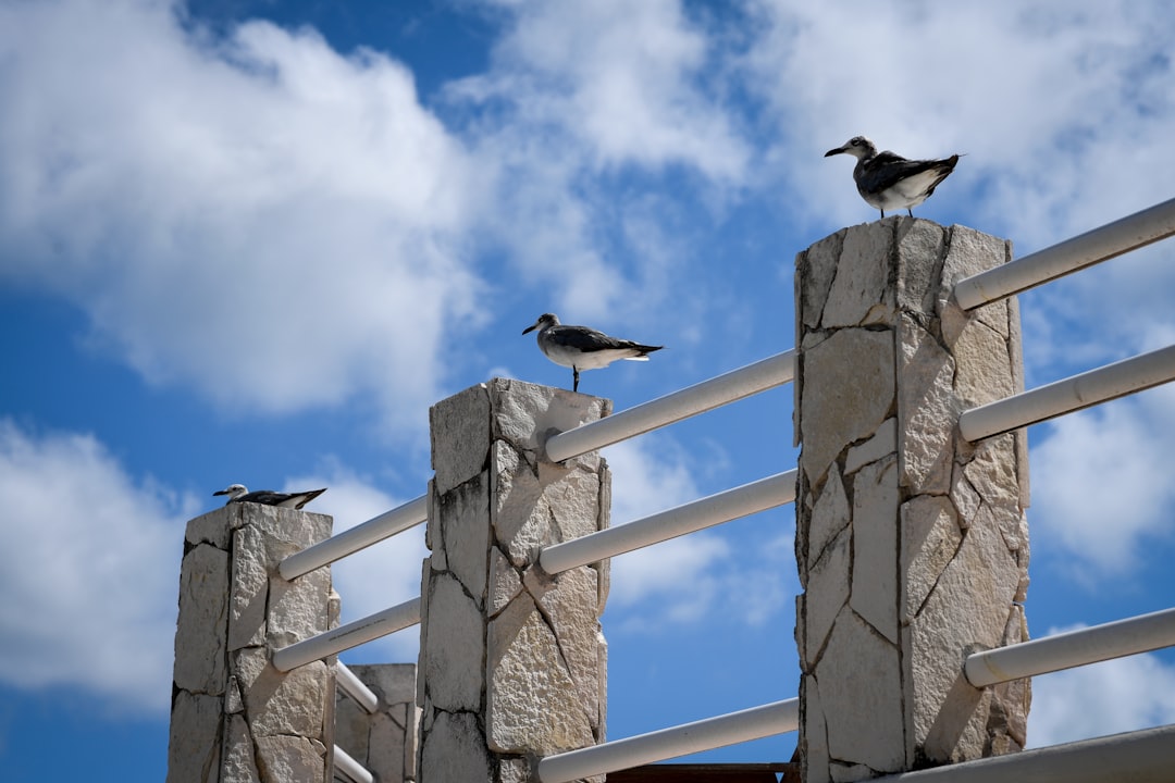 Itinerario Perfetto Cancún: Pianifica con Secret World - Cancún | Secret World Trip Planner