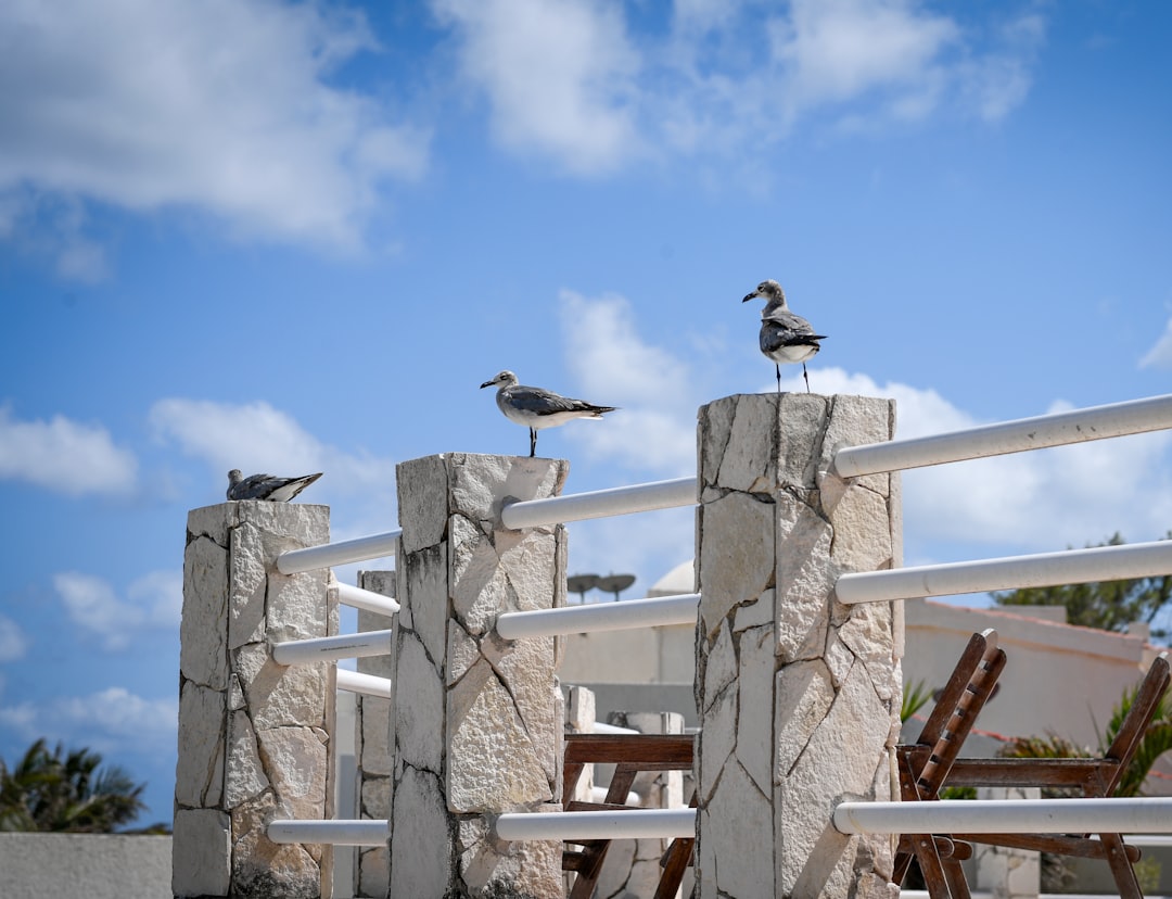 Perfect Cancun Itinerary: Plan with Secret World - Cancún | Secret World Trip Planner