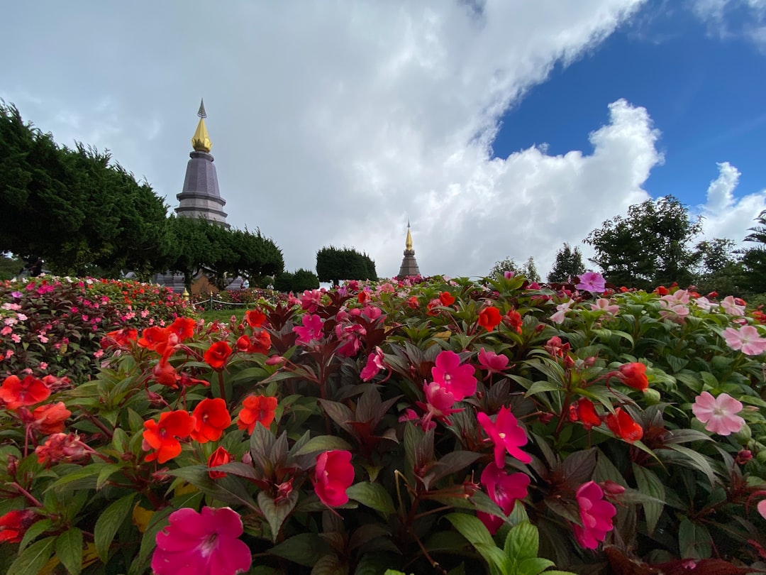 Дои Интанон: Самая высокая вершина Таиланда для исследования - Amphoe Mae Chaem | Secret World Trip Planner