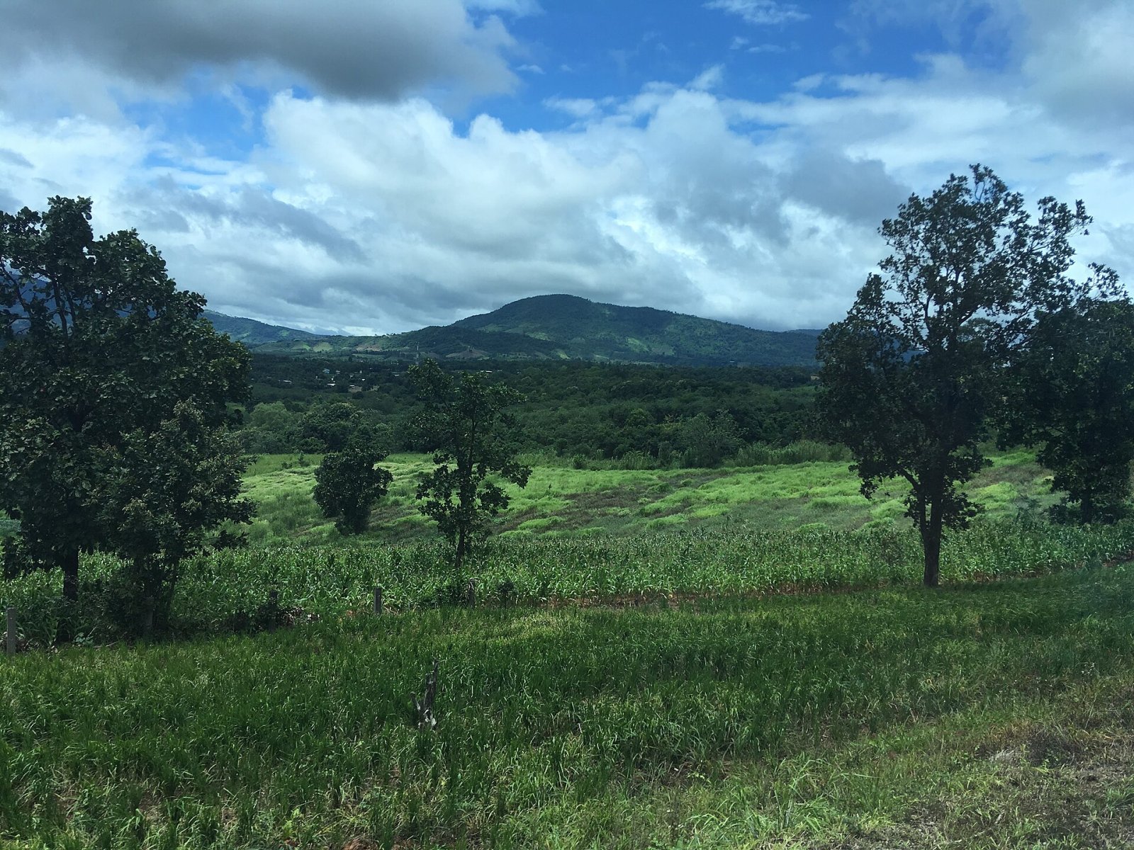 Découvrez Phu Ruea : un coin de nature préservée en Thaïlande - Phu Ruea District | Secret World Trip Planner