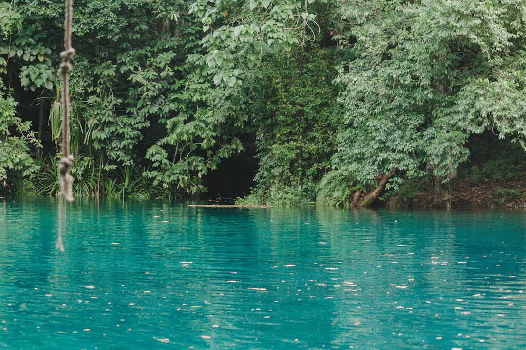 The Great Blue Hole: A Submarine Paradise in Belize | Secret World Trip Planner