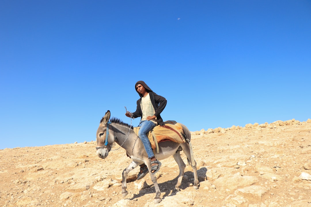 Unique Experience at the Judean Desert Springs | Secret World Trip Planner