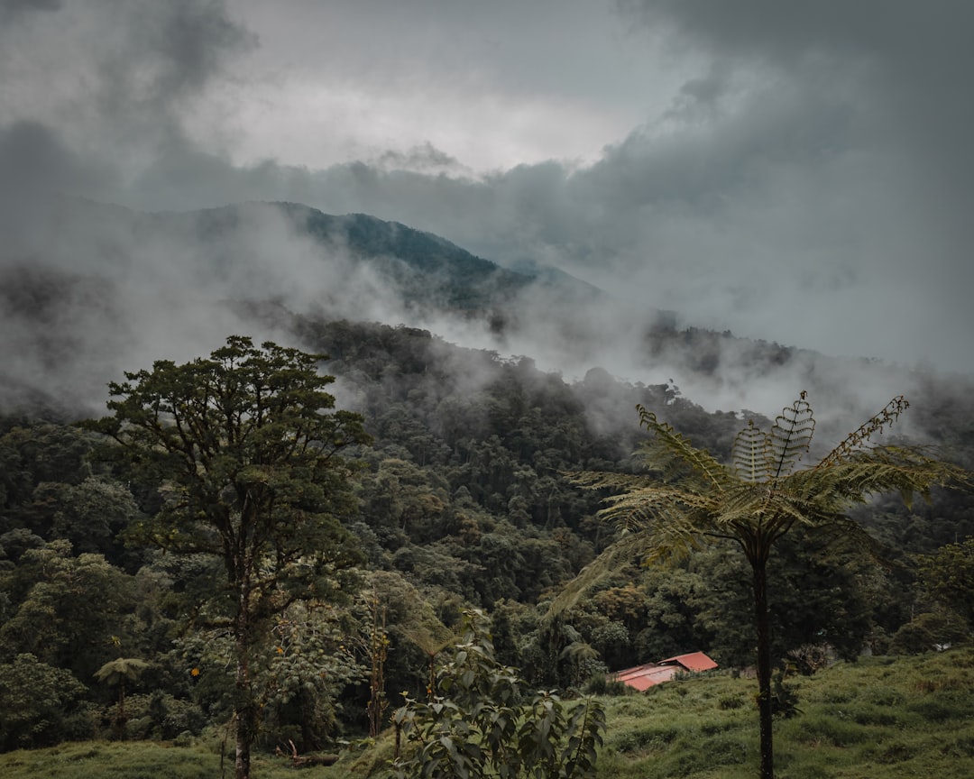 Découvrez le Cerro Cedral : un joyau naturel du Costa Rica - San Antonio | Secret World Trip Planner