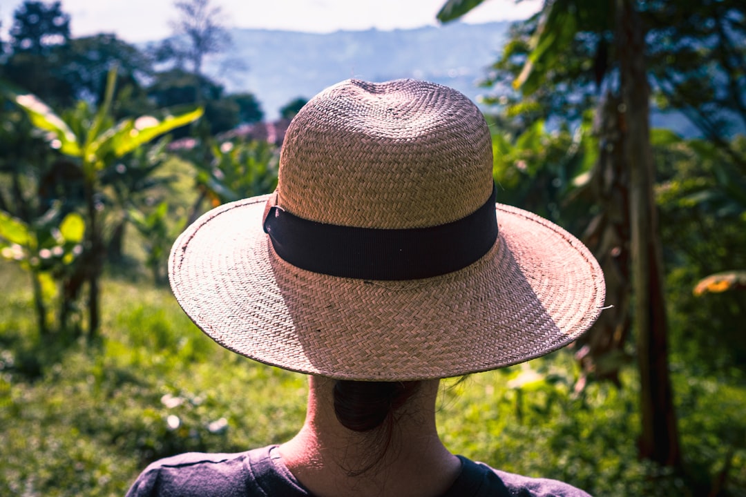 Cerro Gandi: A Natural Paradise in Panama