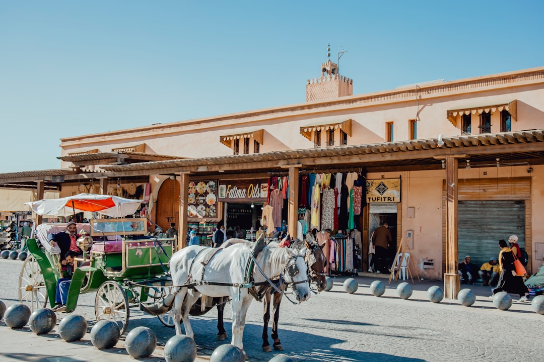 Explorando o Souk de Marrakech: Cores e Aromas - J2J6+MG6، طريق سيدي عبد العزيز، Marrakech 40000 | Secret World Trip Planner