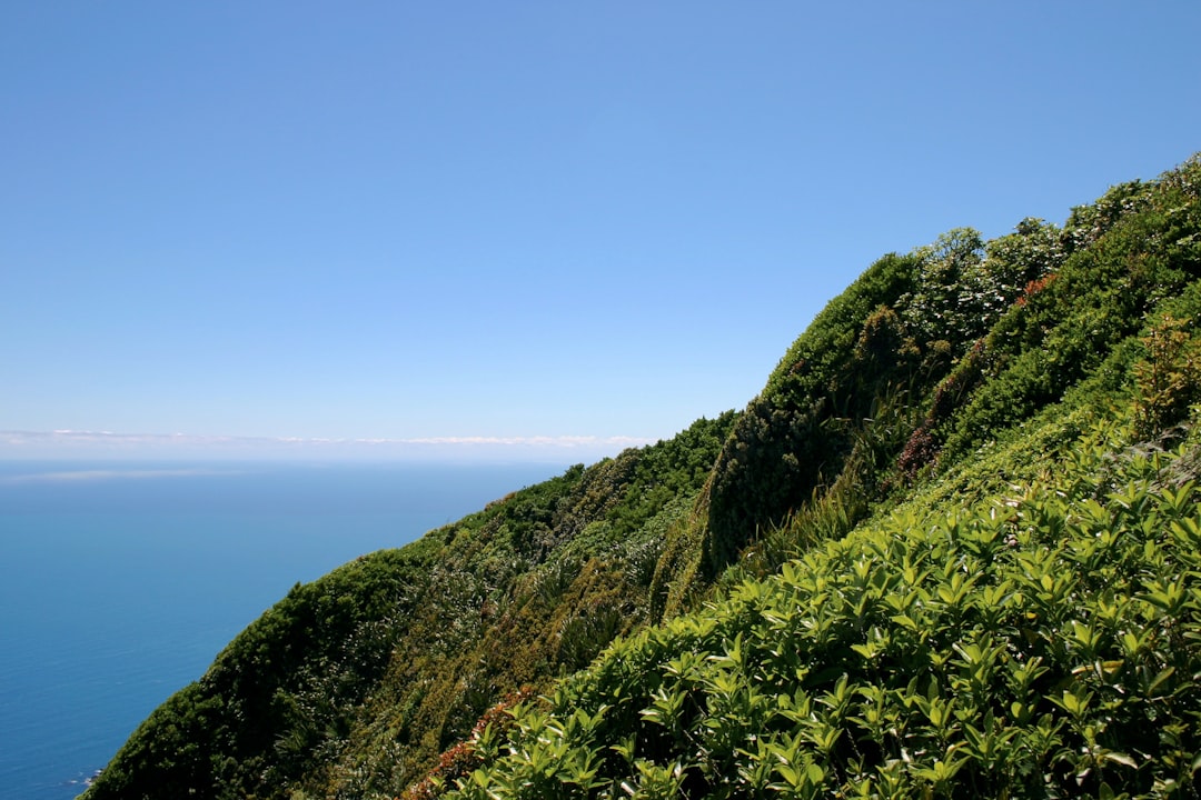 Magische Pfade der Kapiti Coast entdecken - Kapiti | Secret World Trip Planner