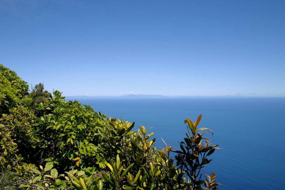 Sentiers Magiques de la Côte de Kapiti - Kapiti | Secret World Trip Planner