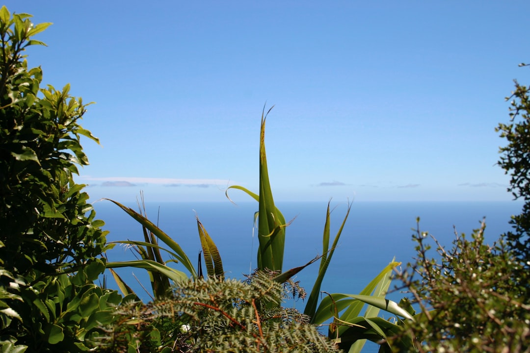 Senderos Mágicos de la Costa Kapiti - Kapiti | Secret World Trip Planner