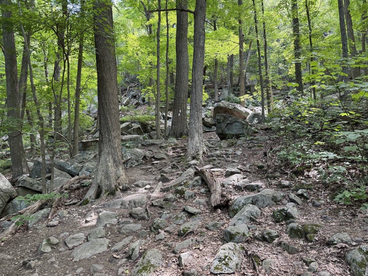 Explorando el Sendero de los Apalaches: Una Aventura Infinita