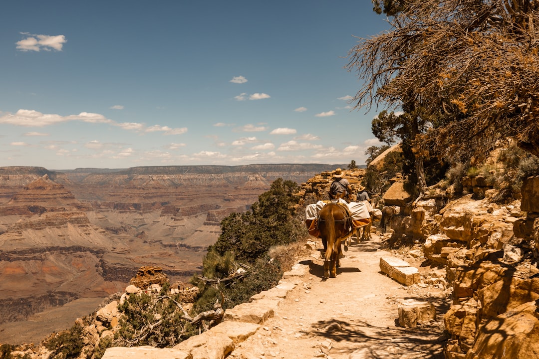Discover the Rim Trail: An Unforgettable Grand Canyon Journey - Grand Canyon Village | Secret World Trip Planner