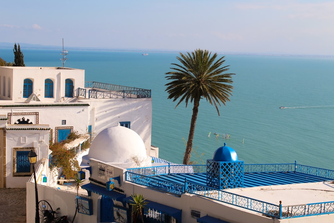 Sidi Bou Said: I Mercati di un Villaggio Incantato - Sidi Bou Said | Secret World Trip Planner