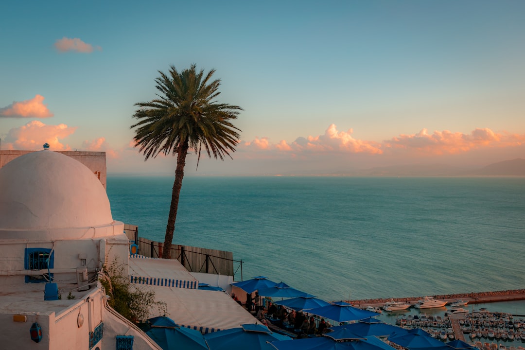 Sidi Bou Said: Los Mercados de un Pueblo Encantado - Sidi Bou Said | Secret World Trip Planner