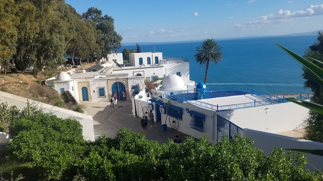 Sidi Bou Said: Os Mercados de um Vilarejo Encantado - Sidi Bou Said | Secret World Trip Planner