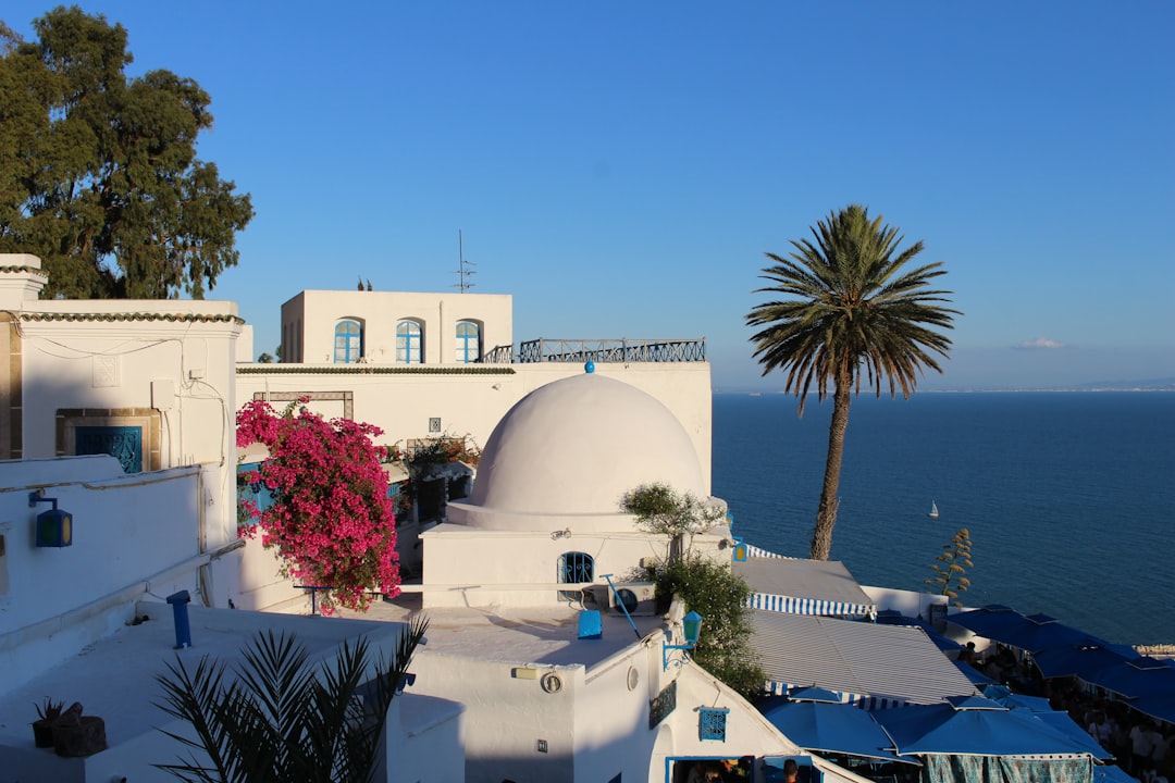 Сиди Бу Саид: Рынки волшебной деревни - Sidi Bou Said | Secret World Trip Planner