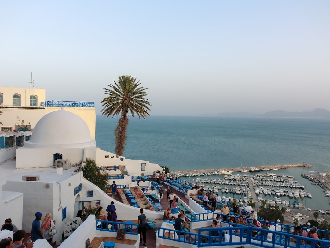 西迪布赛义德：迷人村庄的市场 - Sidi Bou Said | Secret World Trip Planner