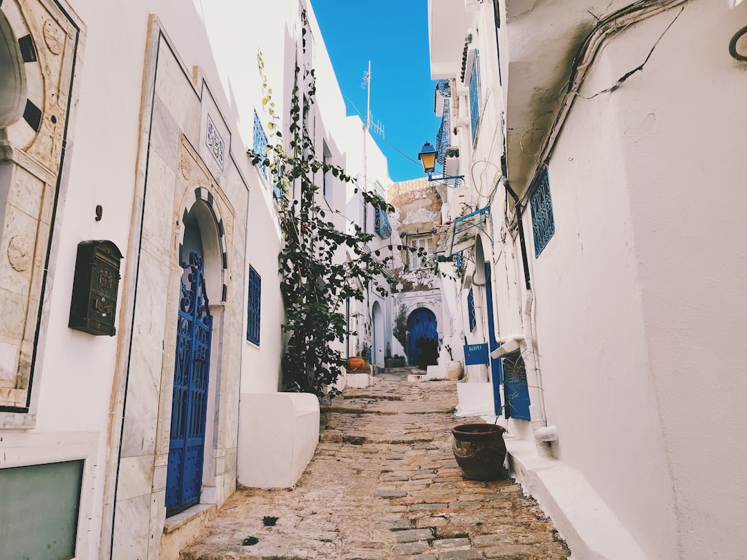 西迪布赛义德：迷人村庄的市场 - Sidi Bou Said | Secret World Trip Planner