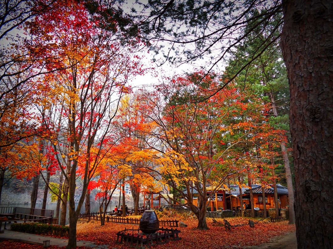 Le migliori alternative a Wanderlog per viaggiare a Seoul nel 2026 - Seoul | Secret World Trip Planner