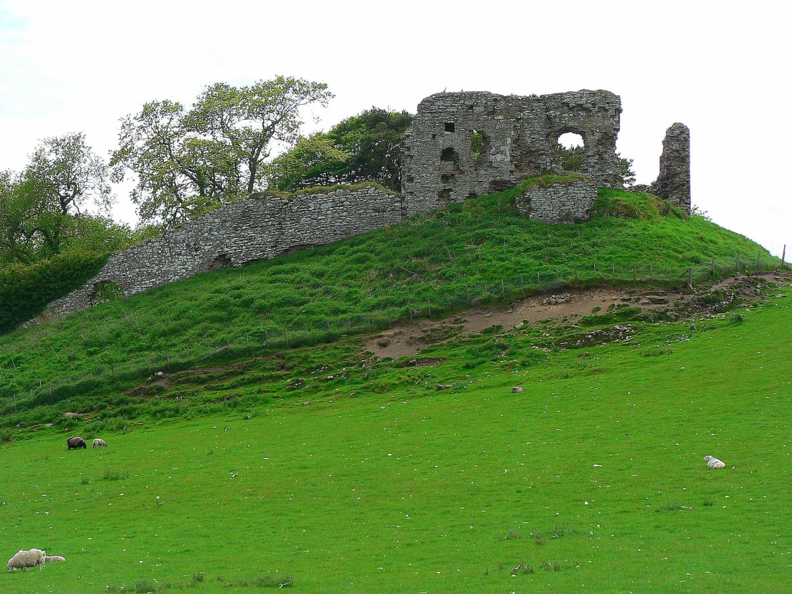 Scoprire Skelbo Castle: un tesoro storico in Scozia - WXH5+WP Dornoch | Secret World Trip Planner