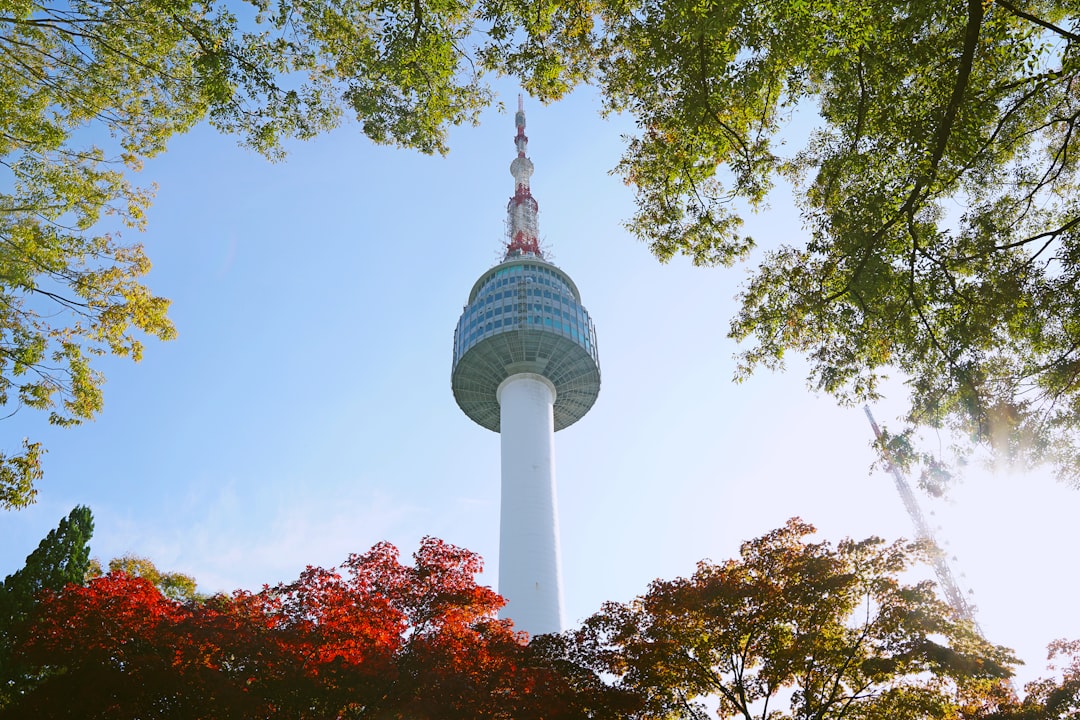 Захватывающие панорамы с башни Сеула - Yongsan District | Secret World Trip Planner