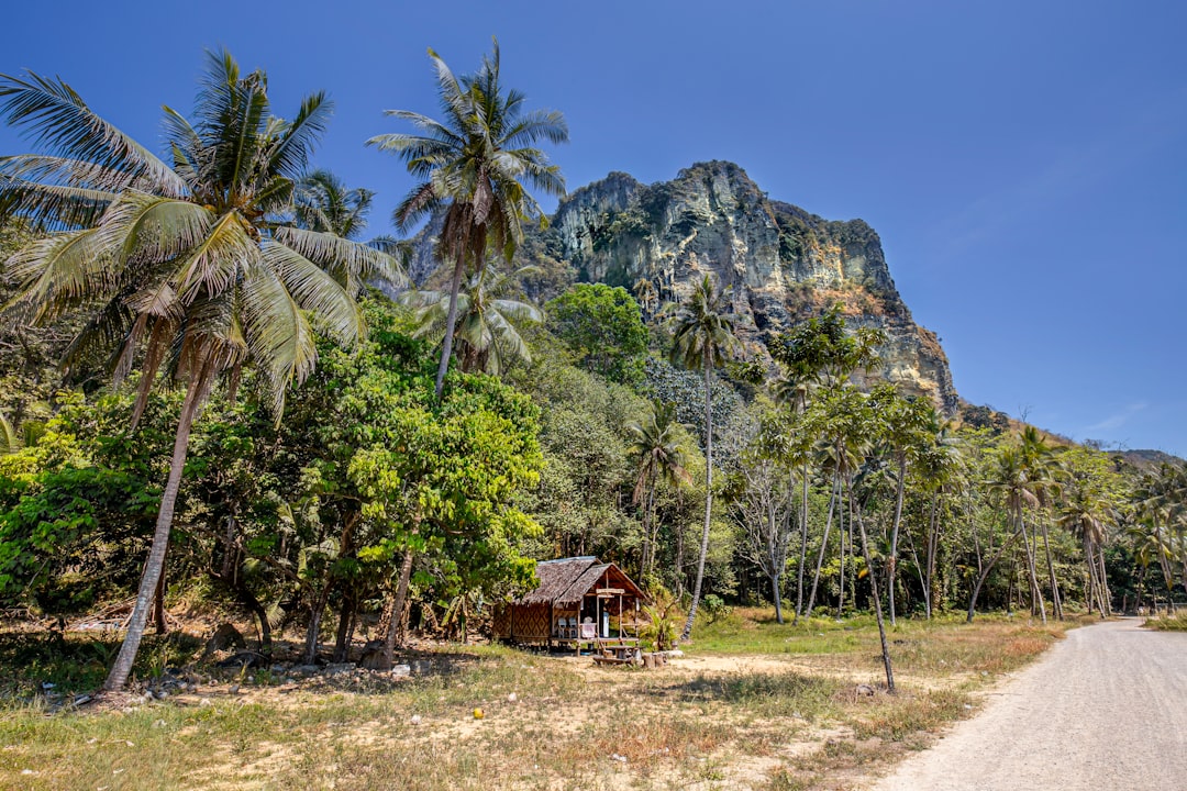 Verborgene Wasserfälle im Khlong Phanom Nationalpark - Amphoe Phanom | Secret World Trip Planner