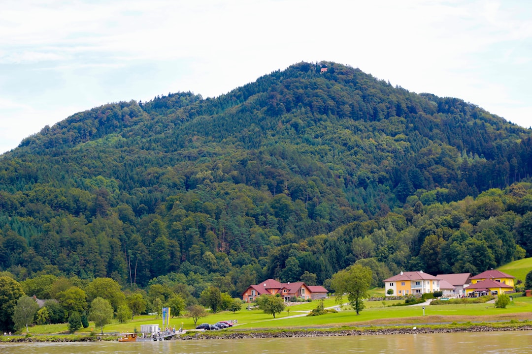 Découvrez Schönberg : Les paysages cachés de la Forêt Noire — 94513 Schönberg