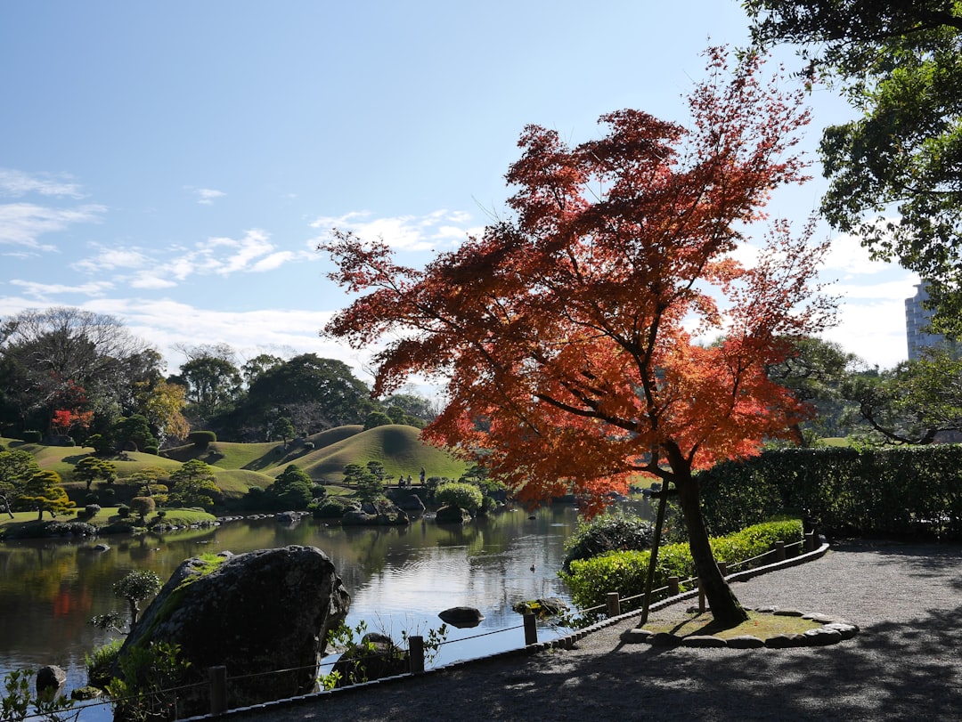 Suizenji Jojuen: Un Giardino Segreto di Tranquillità — Kumamoto