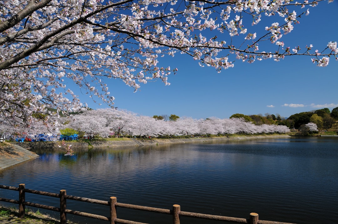 Suizenji Jojuen: Ein Geheimer Garten der Ruhe - Kumamoto | Secret World Trip Planner