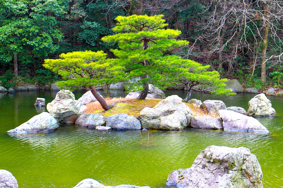 Suizenji Jojuen: Um Jardim Secreto de Tranquilidade - Kumamoto | Secret World Trip Planner