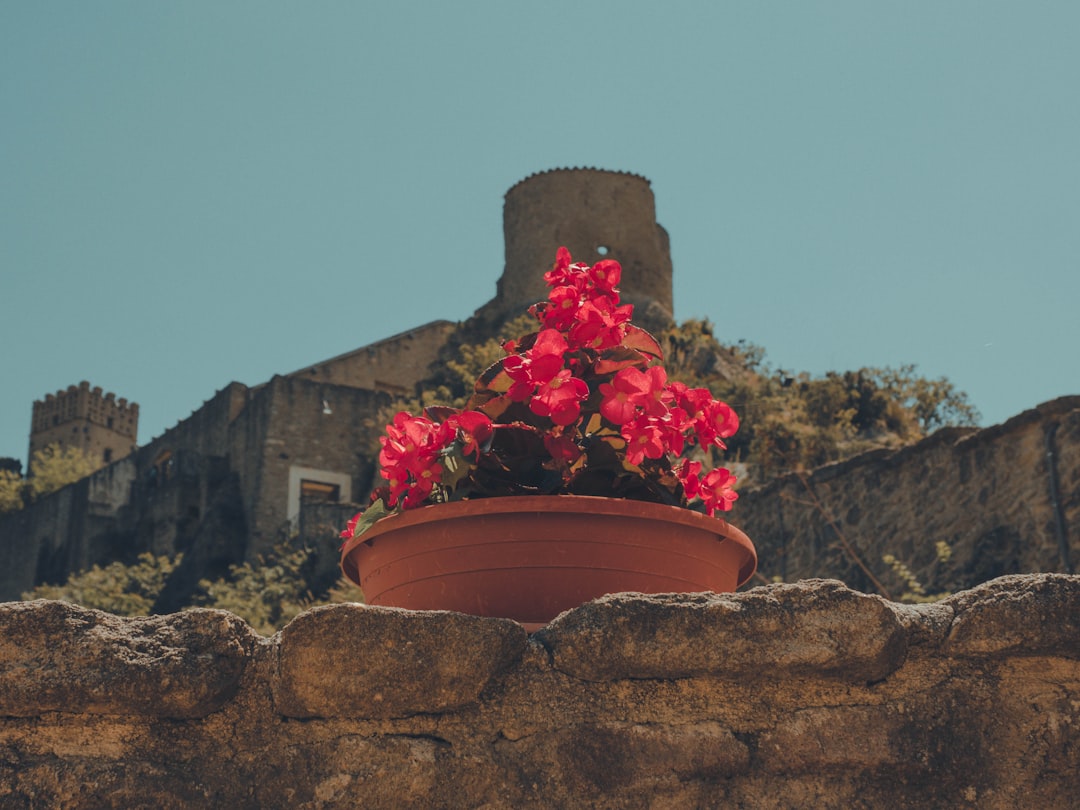 Castello Medioevale di Roccascalegna: Un viaggio nel tempo - Piazza Umberto I | Secret World Trip Planner