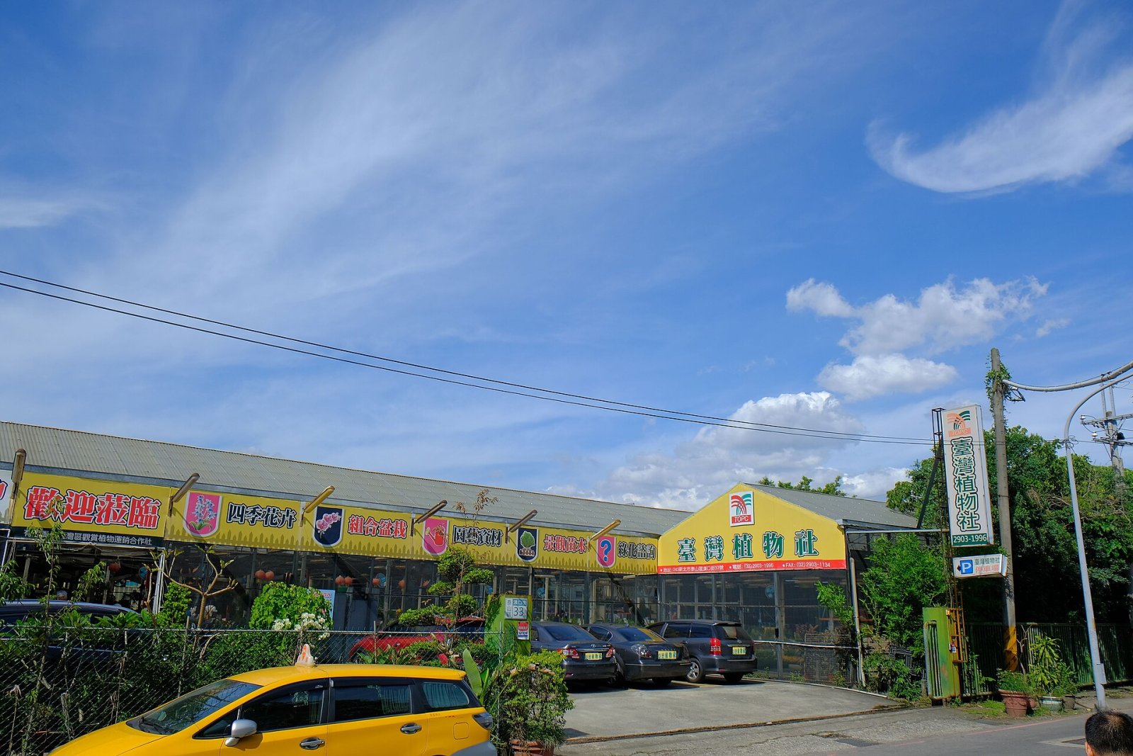 Discover Taishan: A Nature Haven in Taiwan - Hongtou Village | Secret World Trip Planner