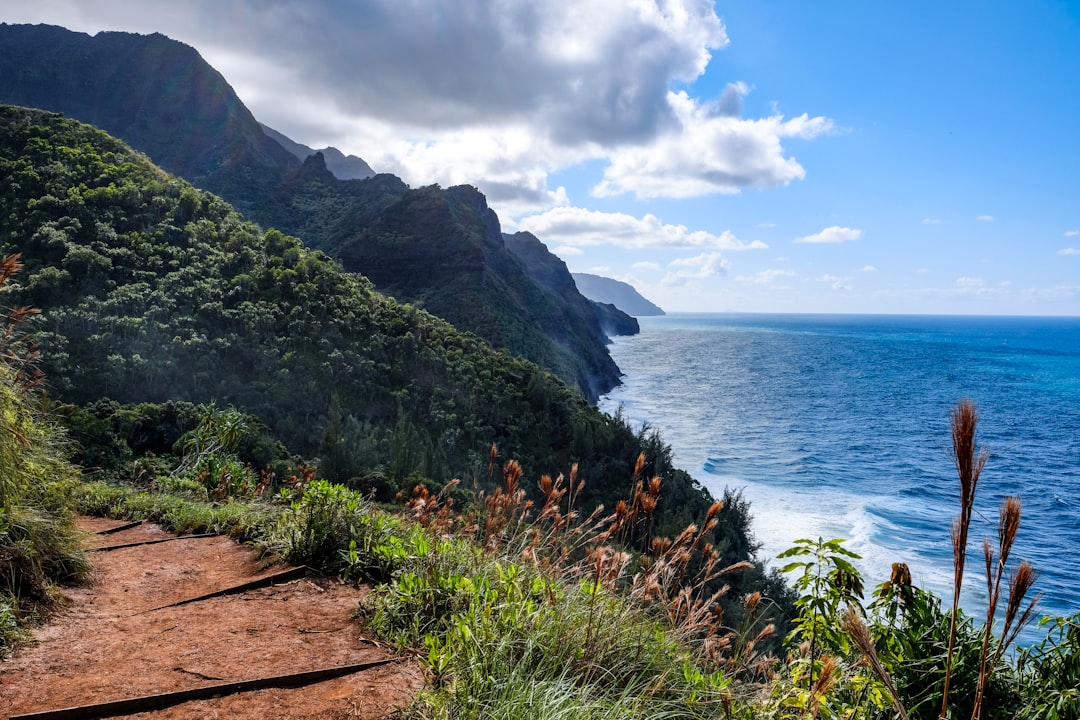 Descubra as Praias da Costa Nā Pali: Um Paraíso Natural - Contea di Kauai | Secret World Trip Planner