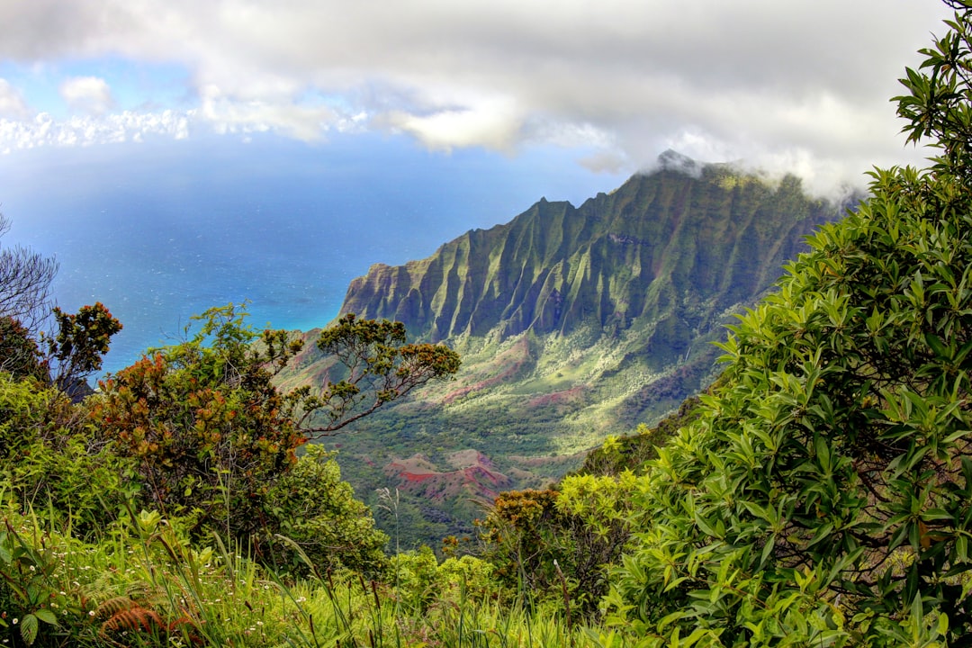 Откройте для себя пляжи побережья Nā Pali: природный рай - Contea di Kauai | Secret World Trip Planner