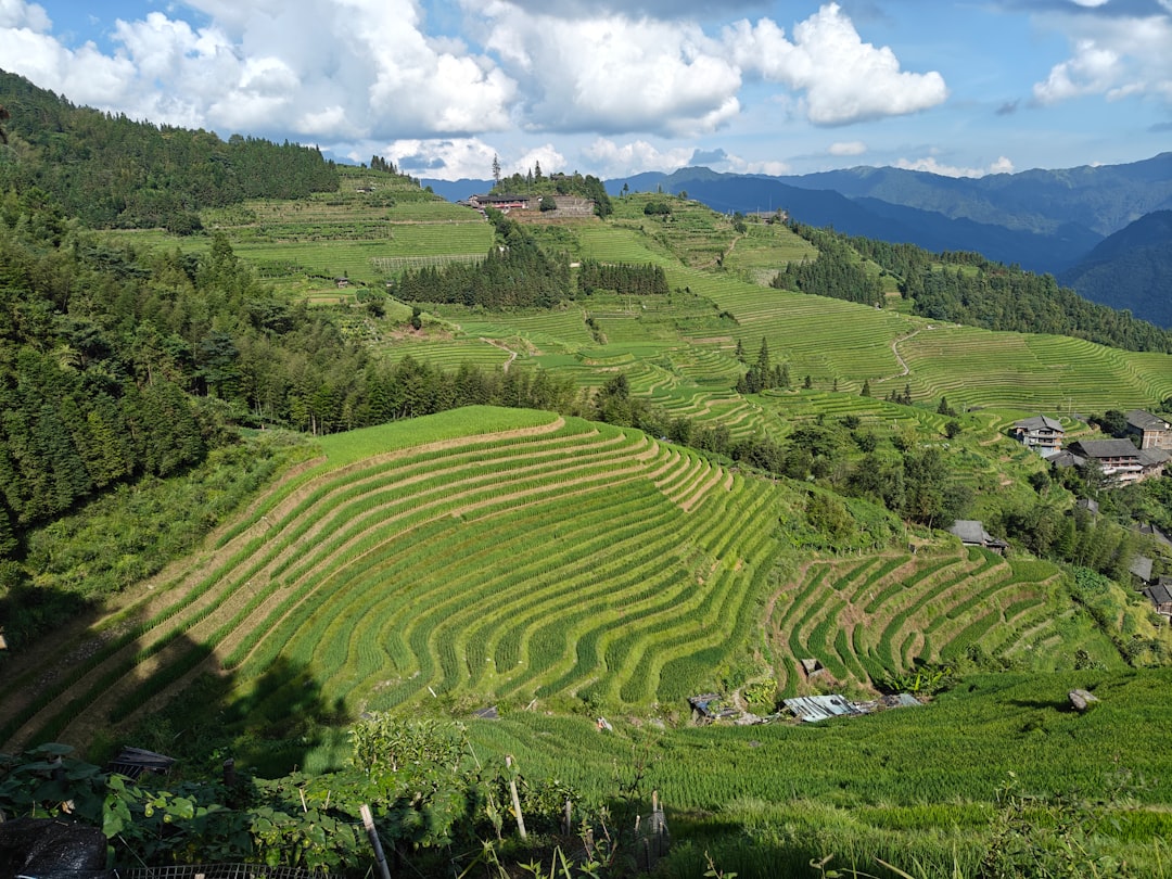 Enchanting Sunsets over Ta Phin Rice Fields - Ta Phin | Secret World Trip Planner