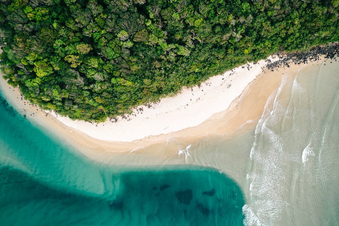 Scopri Kauapea Beach: La Gemma Nascosta di Kauai — Kauapea Beach
