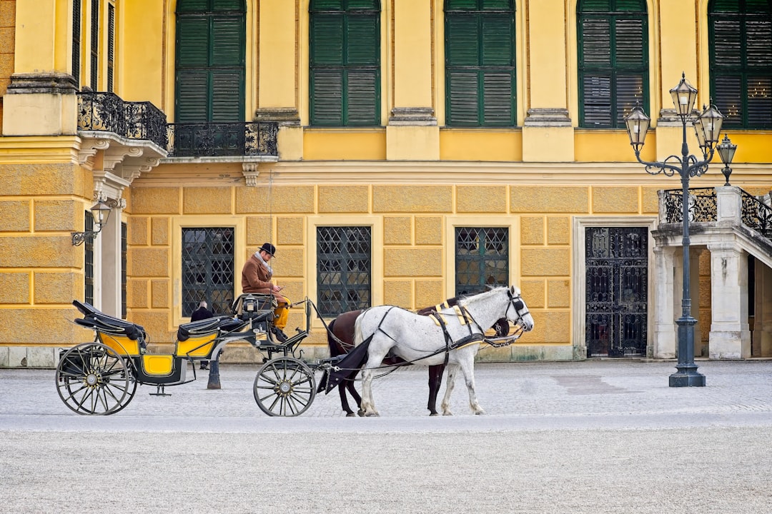 Férias em Viena a baixo custo: guia prático 2026 - Vienna | Secret World Trip Planner