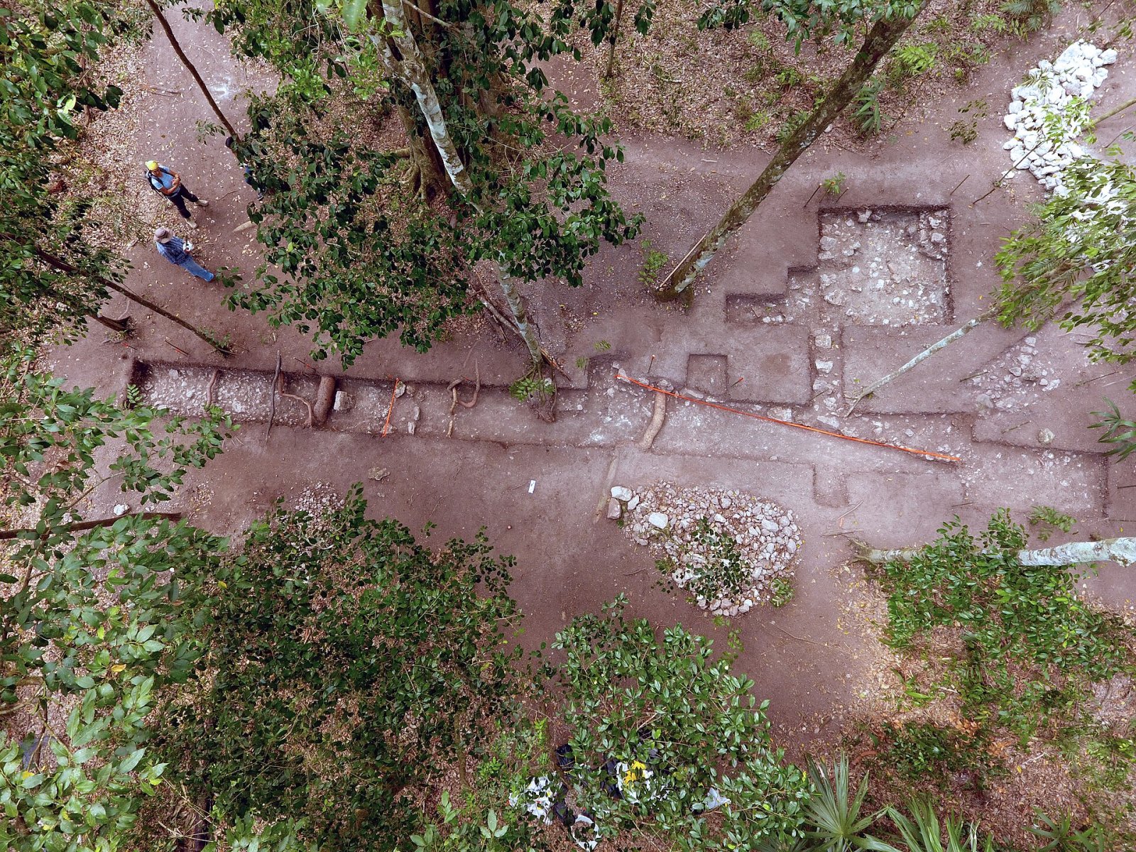 El Tintal: The Archaeological Treasure of Guatemala - Chilar | Secret World Trip Planner