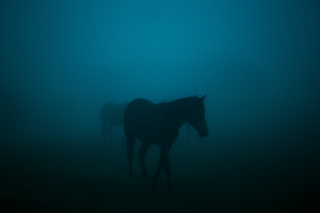 Le Cheval Bleu de Franz Marc : Art et Nature à Zehdenick - Dorfanger 20 | Secret World Trip Planner
