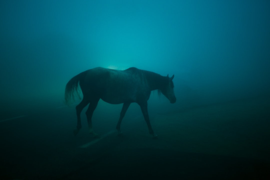 Le Cheval Bleu de Franz Marc : Art et Nature à Zehdenick - Dorfanger 20 | Secret World Trip Planner
