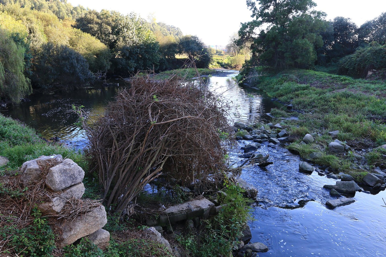 Exploring the Guifões Bridge: History and Beauty in Portugal - Guifões | Secret World Trip Planner