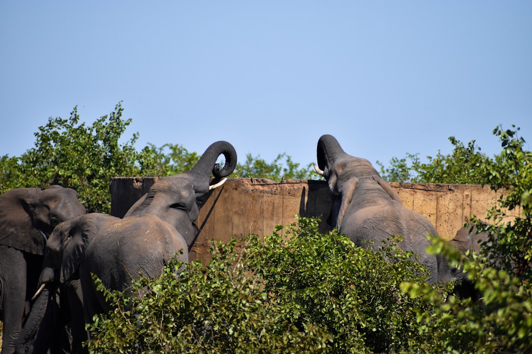 Scoprire la Biodiversità al Malelane Gate del Kruger - R570 | Secret World Trip Planner